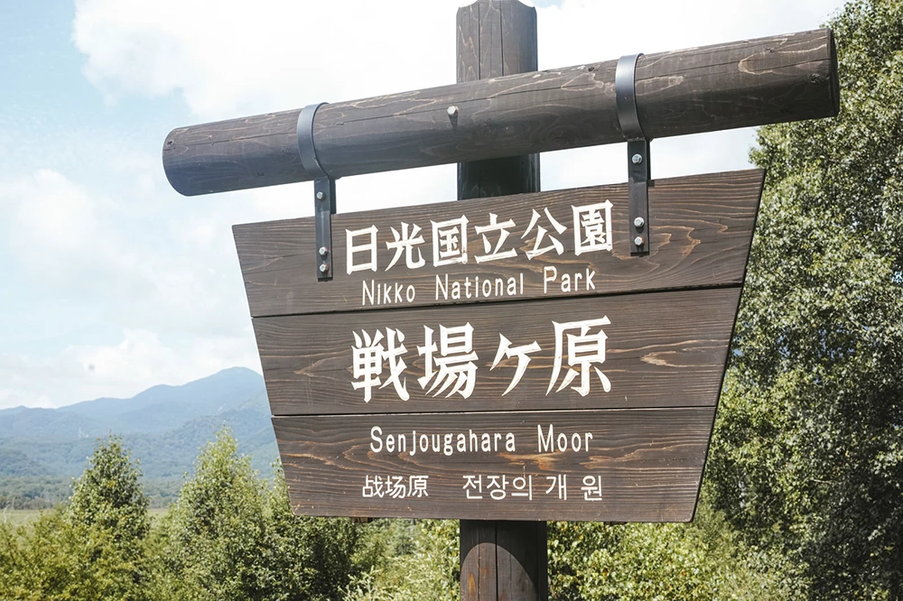 日光
