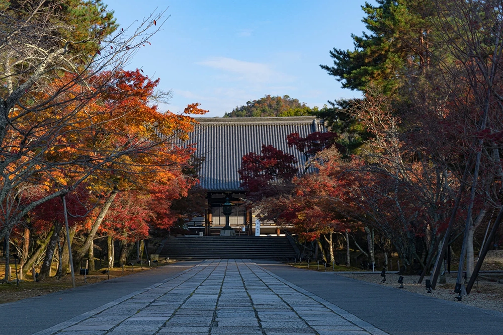 京都日本旅遊