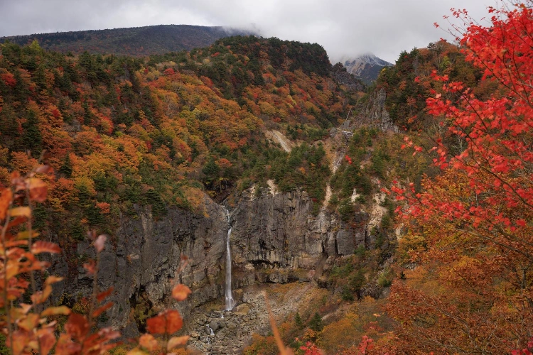 京都山區的秋天風景，展示了五彩斑斕的紅葉和瀑布，環繞在壯麗的山谷之中。